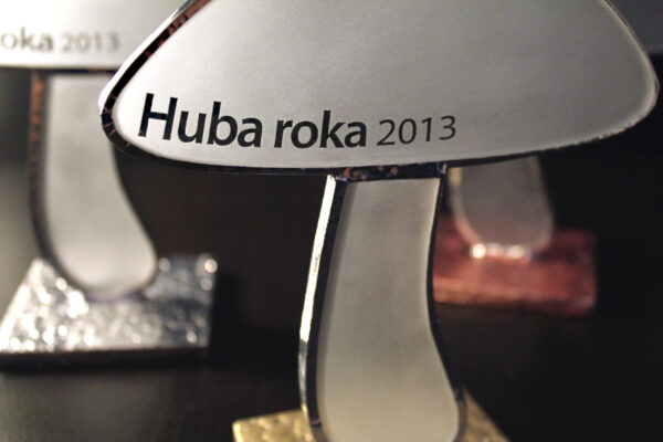 Huba roka 2013