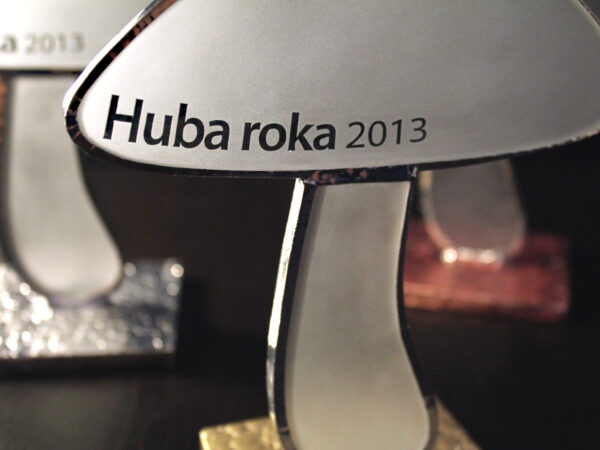 Huba roka 2013